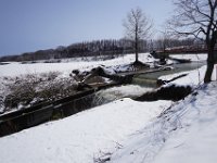 20170418Tokachi (172)